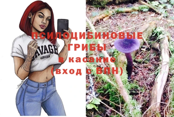 прущие крисы Арсеньев