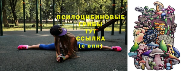 прущие крисы Арсеньев