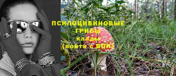прущие крисы Арсеньев